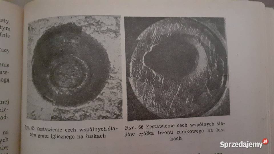 Kryminalistyka Szczecin sprzedam