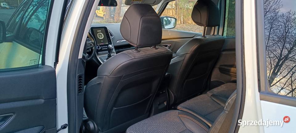 RENAULT GRAND SCENIC Byków