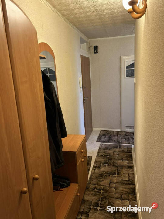 Sprzedam mieszkanie 3 piętra i więcej Sprzedaż Płock