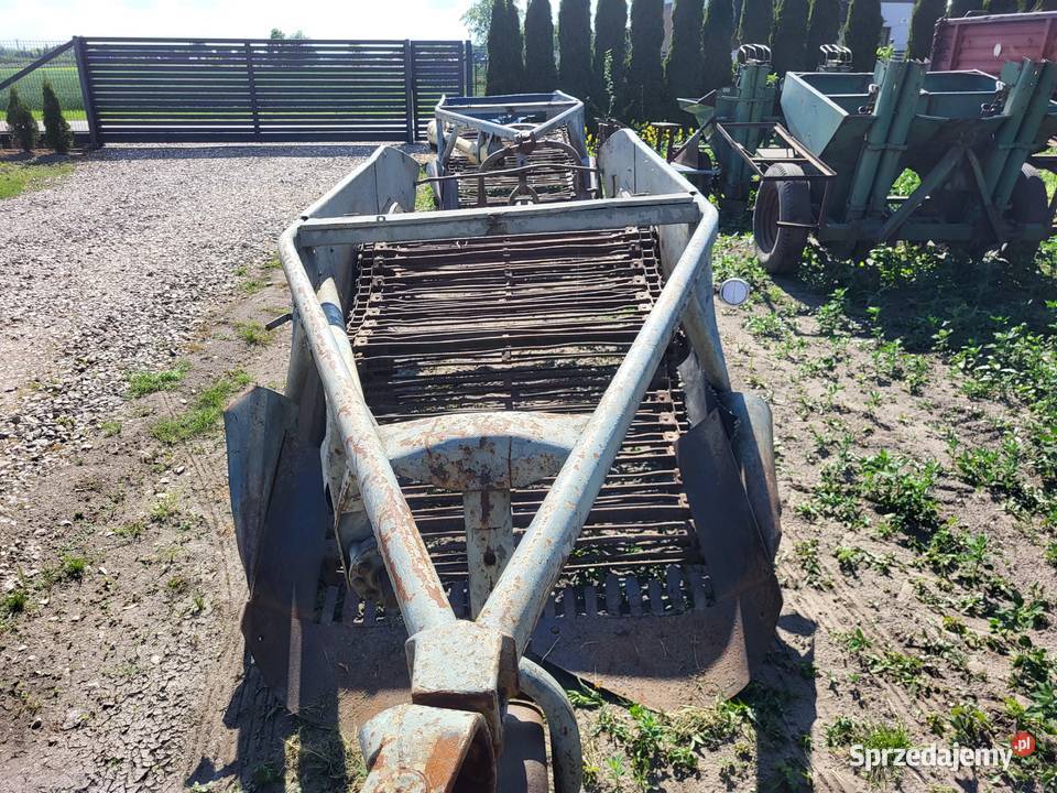 Kopaczka do ziemniaków elewatorowa Miedniewice