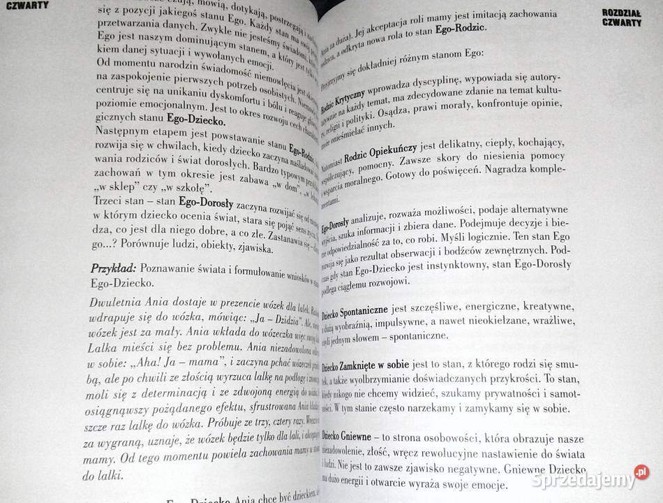 ABC inteligencji emocjonalnej w praktyce Grażyna miękka Pozostałe lubelskie Chełm