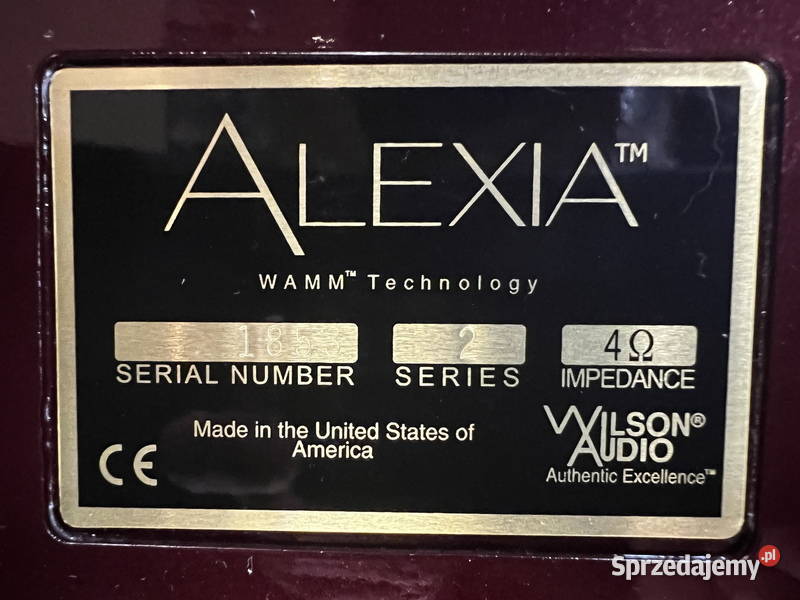 Wilson Audio Alexia kujawsko-pomorskie Polskie Stwolno