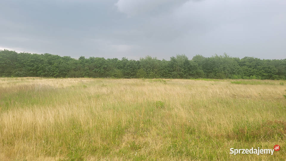 Działka budowlana 779m2 Strożyska Gm Nowy świętokrzyskie