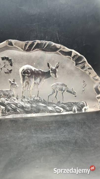 Szkło duży przycisk do papieru motyw myśliwski Zamość sprzedam
