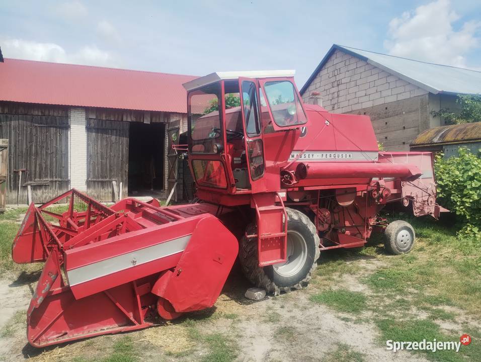 Kombajn zbożowy Massey Ferguson 487 Kombajny Białowola