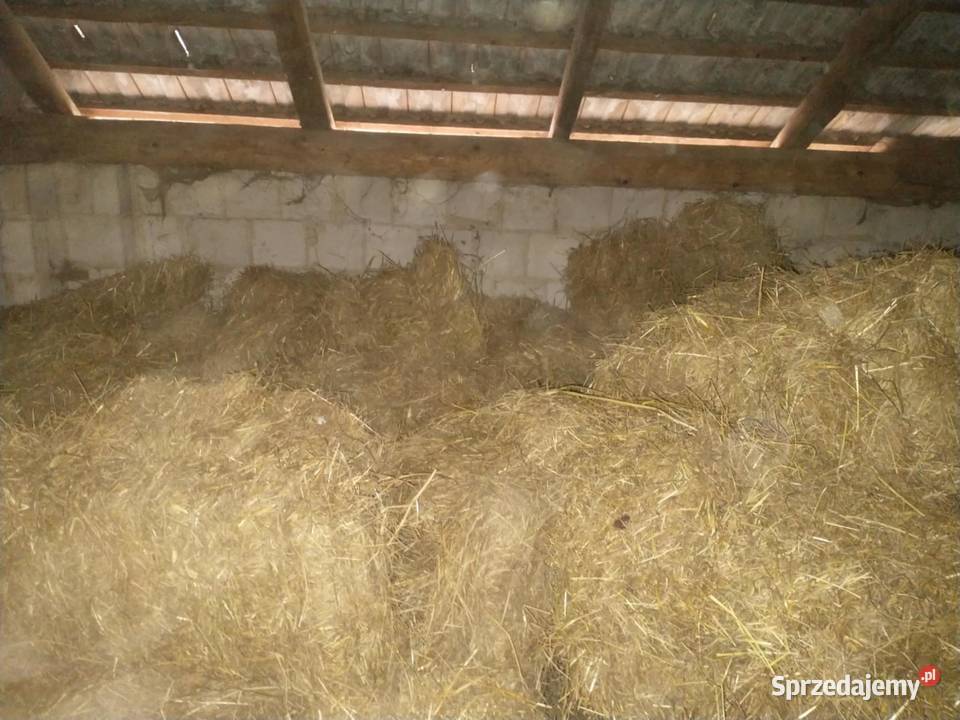 Sprzedam siano Rozbórz Okrągły