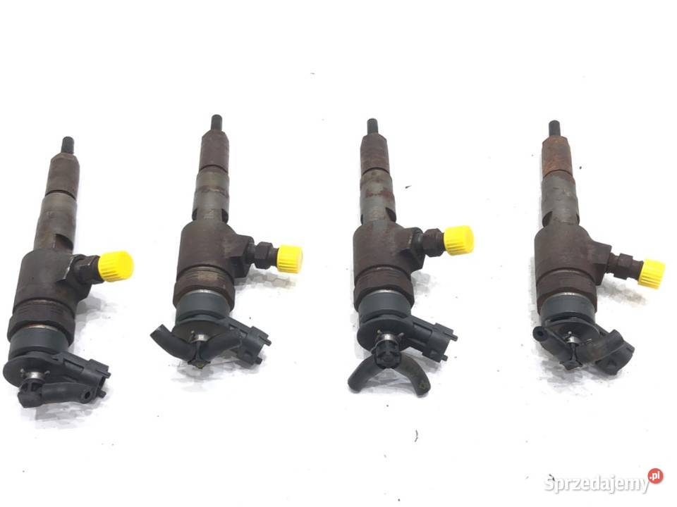 WTRYSKIWACZE KOMPLET CITROEN C3 I 0445110252 14