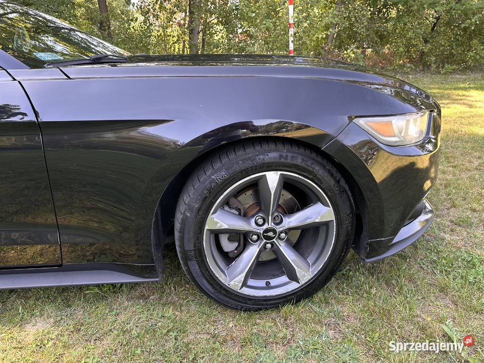 Ford Mustang 37 2015r Rok produkcji 2015 Mustang Syców