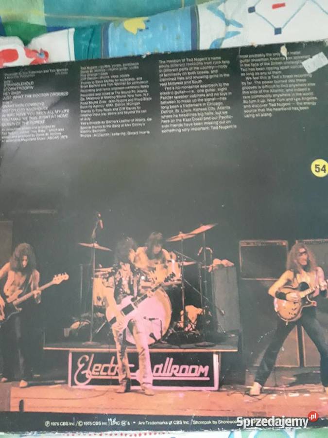 TED NUGENT Ted Nugent debiutancki album płyta winylowa Rzeszów