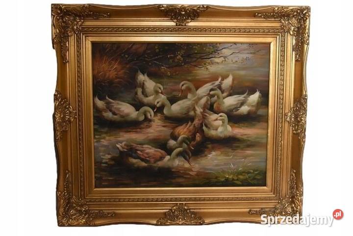 Rodzina Kaczek Kaczki Kaczka Złota Rama Obraz Kraków sprzedam