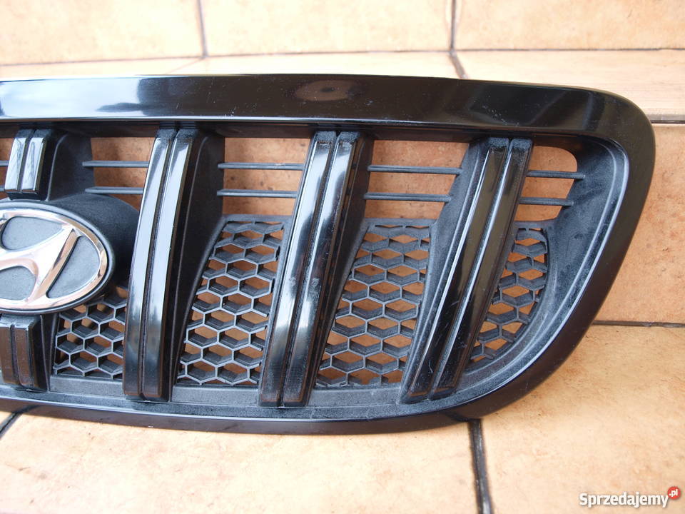 Hyundai Terracan grill atrapa przednia 2001 Kalisz