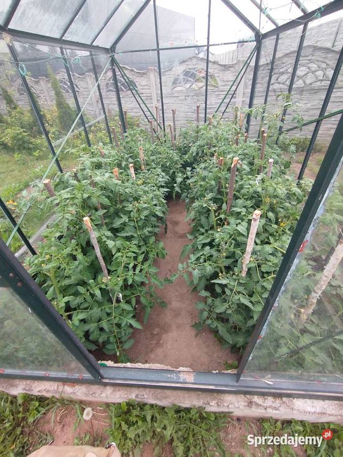 sprzedam dom Rozprza sprzedam