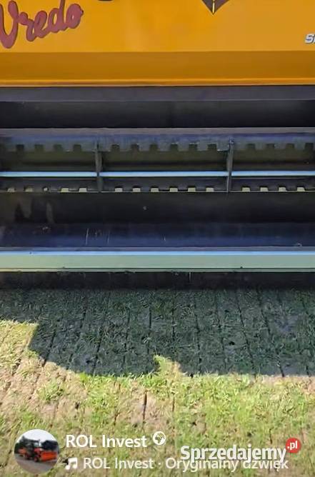 Dosiew szczelinowy trawy boiska hale duże Skórzewo