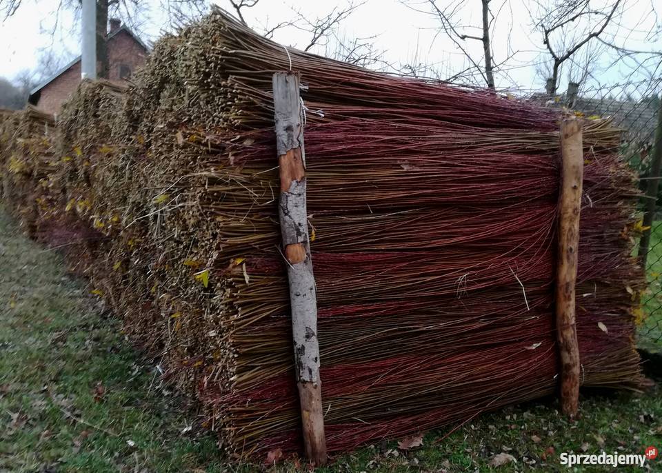 Wiklina sortowana 180 do 240 Rolnictwo Korczowiska