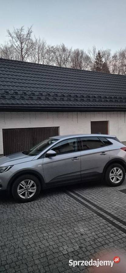 Opel Grandland X śląskie Żywiec