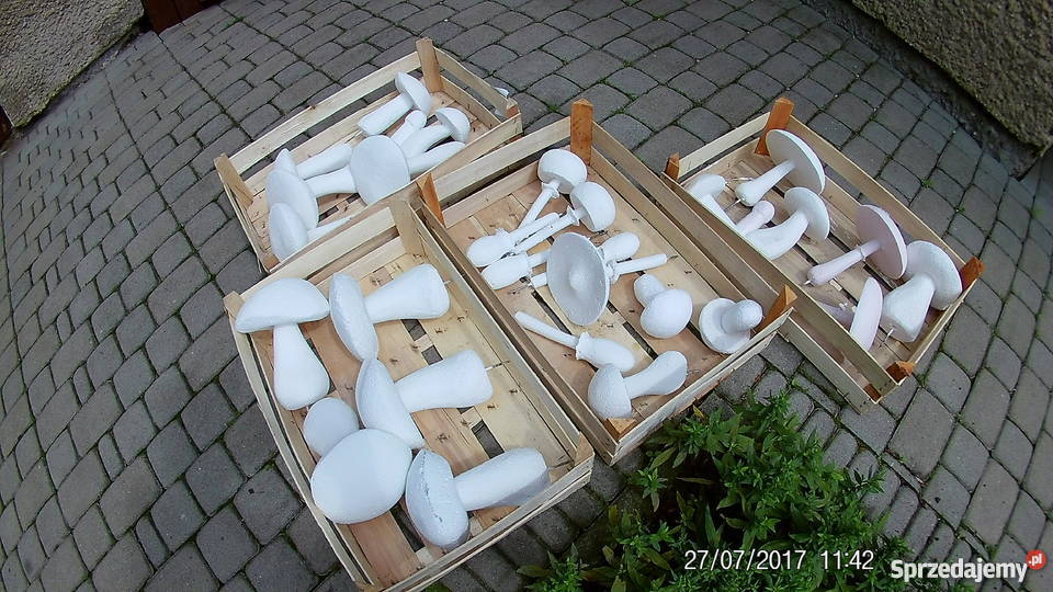 Grzyby styropianowe Górki Wielkie
