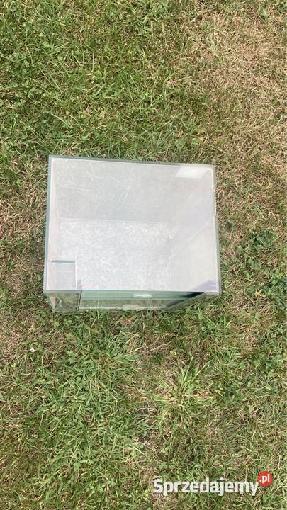 Terrarium gady 302025 Warszawa