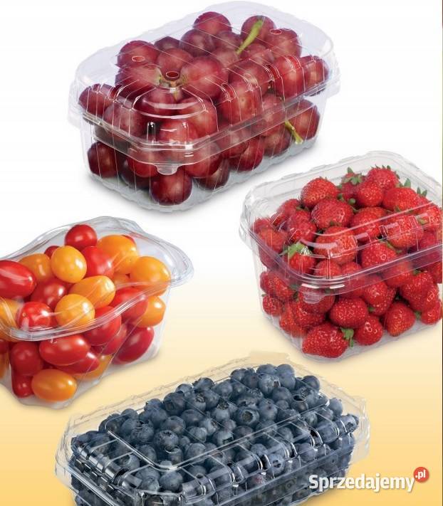 Tacka tacki papierowe na frytki przekąski 25 x Lublin