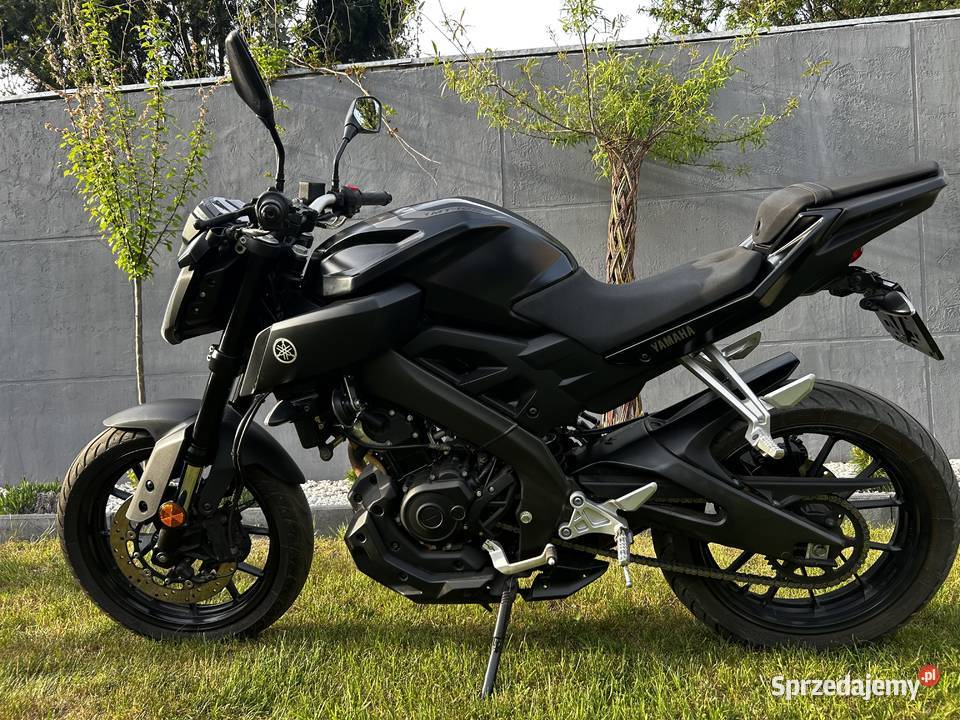Yamaha Mt125 Radom