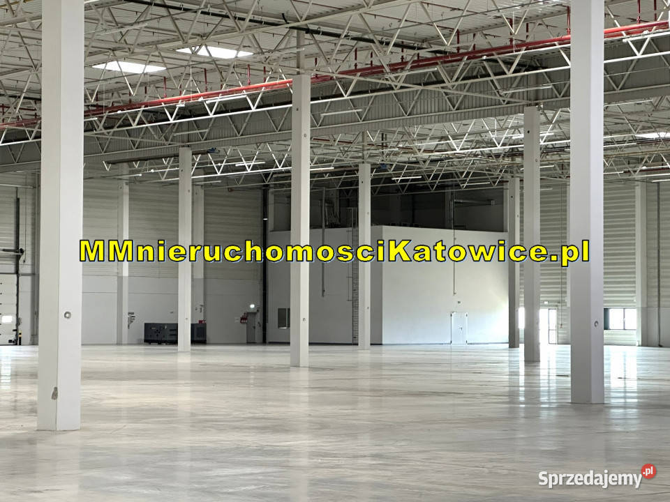 Lokal na wynajem Piotrków Trybunalski 10400m2 10400m2 łódzkie