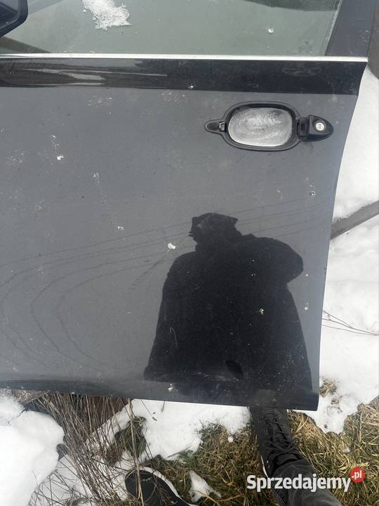 Drzwi BMW e60 Drzwi Trzcinica