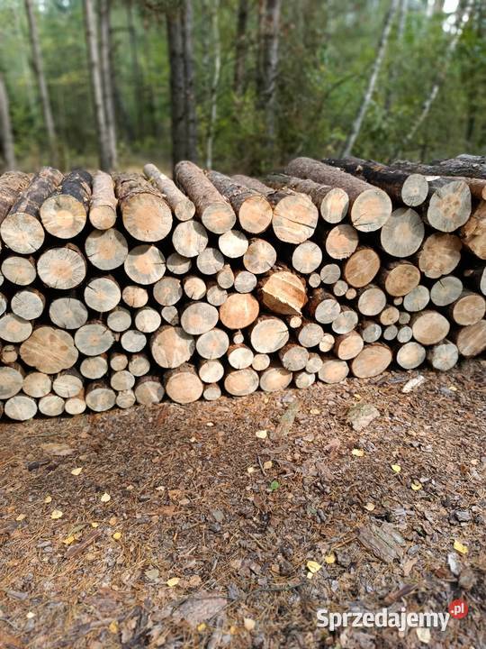 Drewno opałowe sosnowe Ogrzewanie Gorodczyno