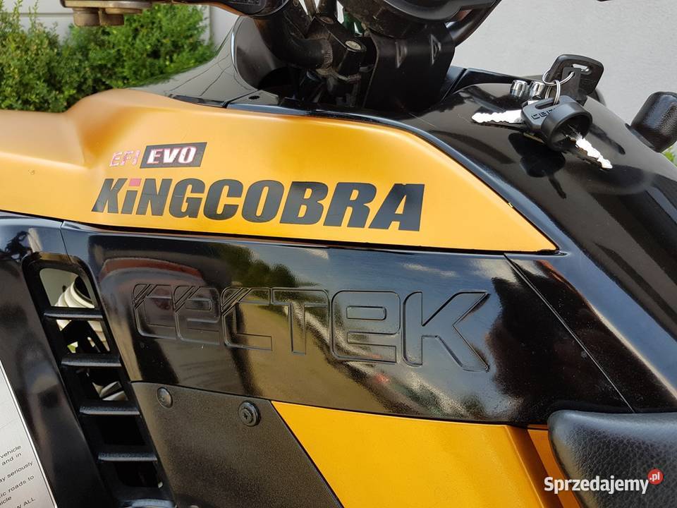CECTEK KINGCOBRA EFI 500 Homologacja DOSTAWA łódzkie Wały A sprzedam