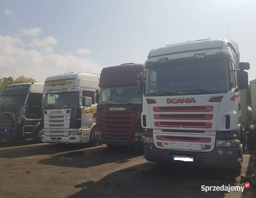 Polos Scania Volvo Fh Fm Renault DXI midlum świętokrzyskie Zawichost