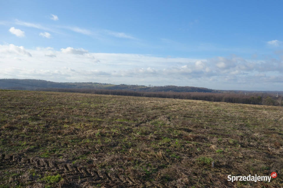 Skoczów Pierściec 121 ha przepiękna panorama gór 12100m2
