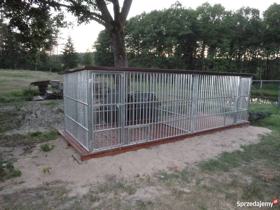 SPWANY CZARNY KOJEC PSA kojce MOCNE Zagroda Siedlce sprzedam