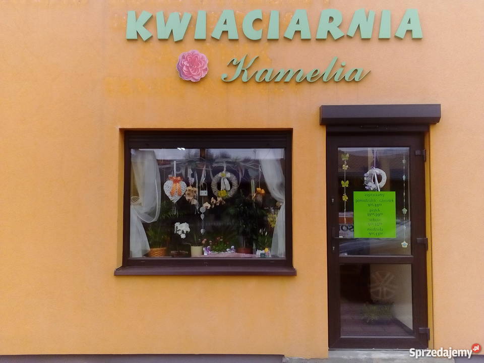 Sprzedam pełne wyposażenie kwiaciarni Lokale użytkowe