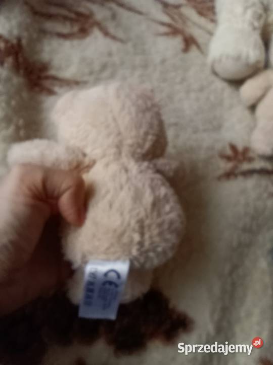 misie zabawki pluszowe maskotki komplet Maskotki Poznań