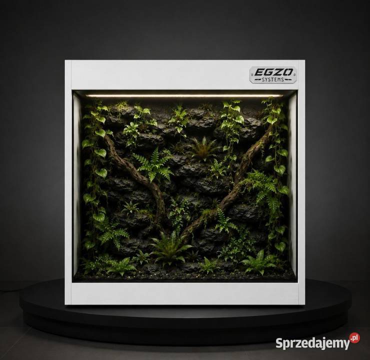 Terrarium tropikalne boa cesarskiego pytona Mielec sprzedam