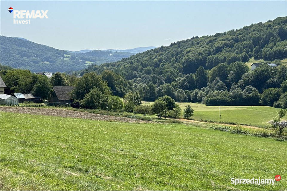 Grunty 5 400 m widok las i działka z WZ 5400m2 małopolskie Młynne