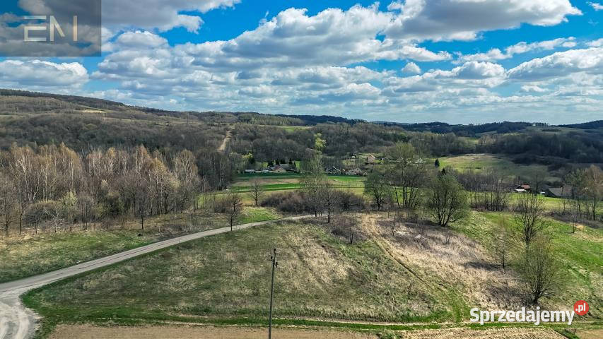 Działka Nawsie 9860m2