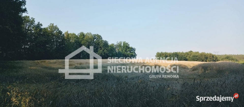 Grunt na sprzedaż 32911m2 Wilkowo Nowowiejskie 32911m2 Sprzedaż