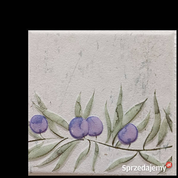 Dekor Akropol grys Alfa 10 x 10 Paradyż płytki Białogard