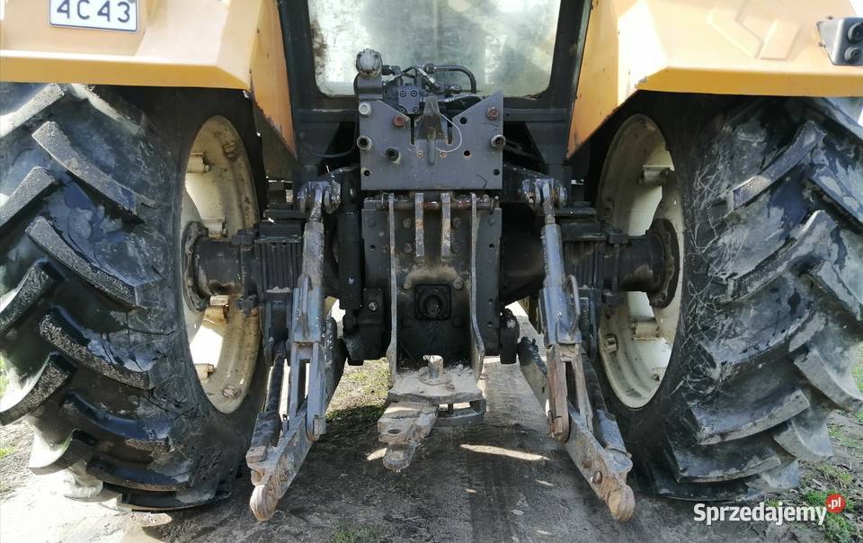 Renault 10354 TX kujawsko-pomorskie Raciążek