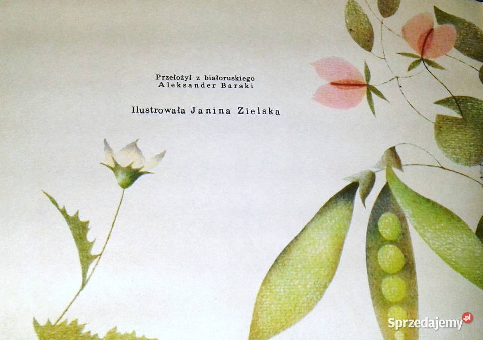 Lato Walancin Łuksza Chełm