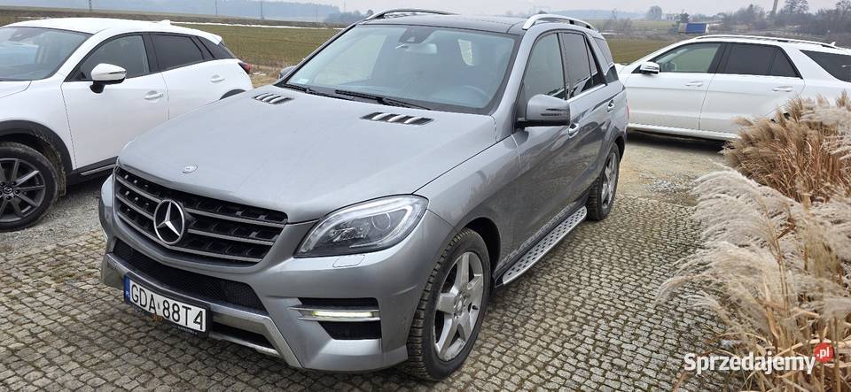 Mercedes 350 Bluetec 4Matic Salon Polska FV23 Strzelce Opolskie