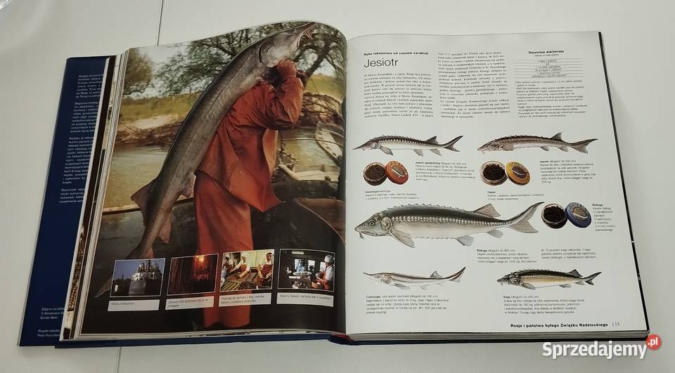 Album Culinaria Kuchnie Europy Warszawa