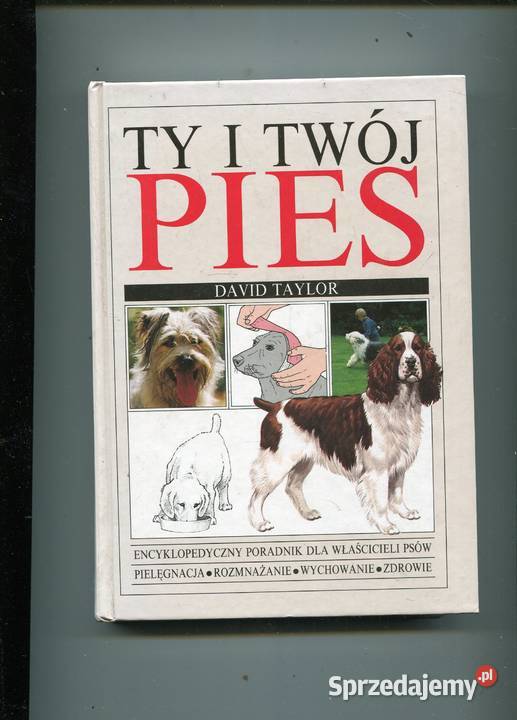 Ty i twój pies david Taylor sprzedam