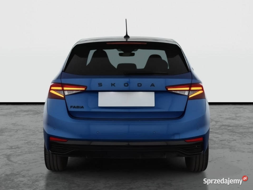 Skoda Fabia 10 TSI pierwszy właściciel Katowice