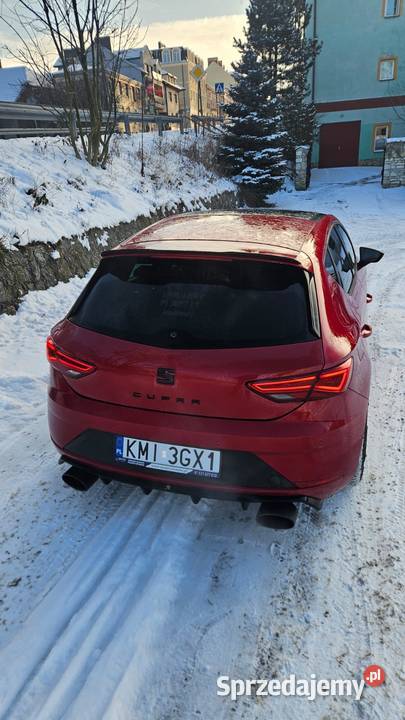 Seat Cupra 2018r 300 automatyczna Pozostałe