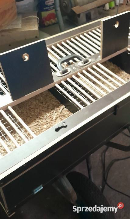 Transportówka ptaków wielkopolskie Ostrów Wielkopolski