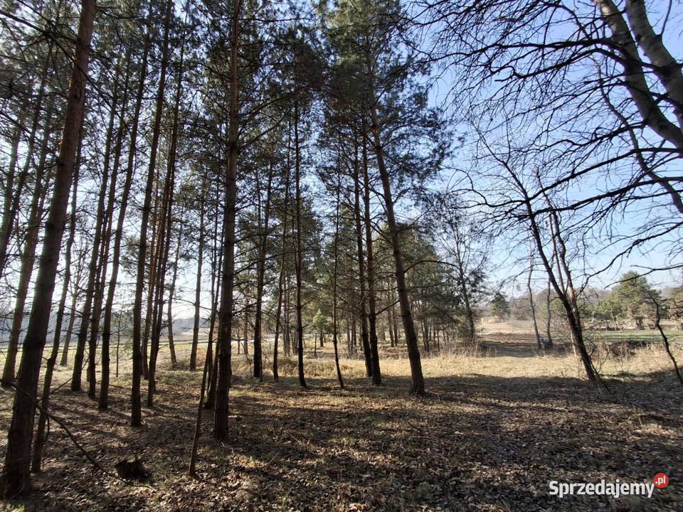 Piękna zadrzewiona działka budowlana w lubelskie Wola Gardzienicka