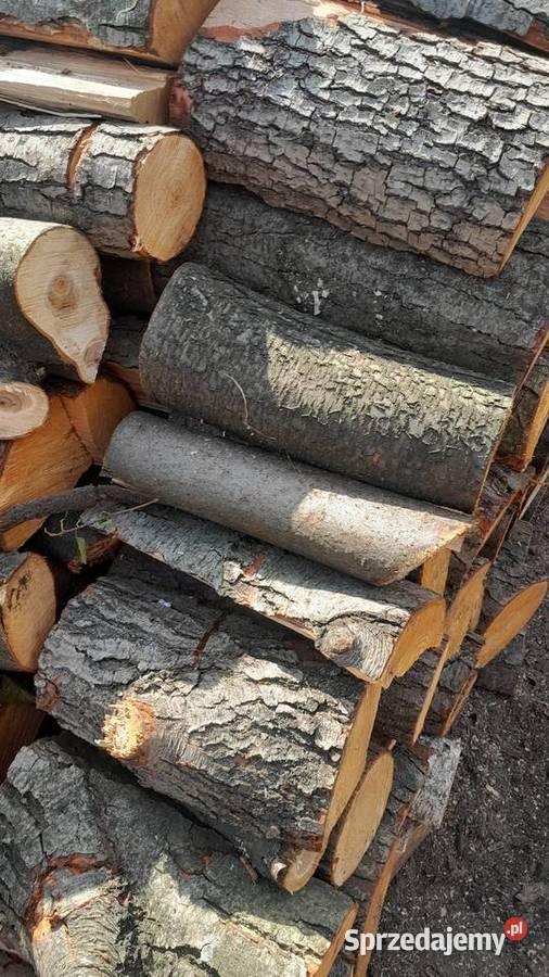 Drewno kominkoweopałowe Rudzisko sprzedam