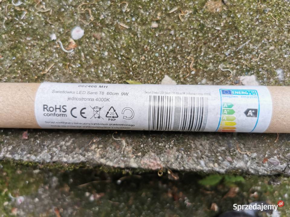 świetlówki led santi 9W 4000k 60 Koszalin
