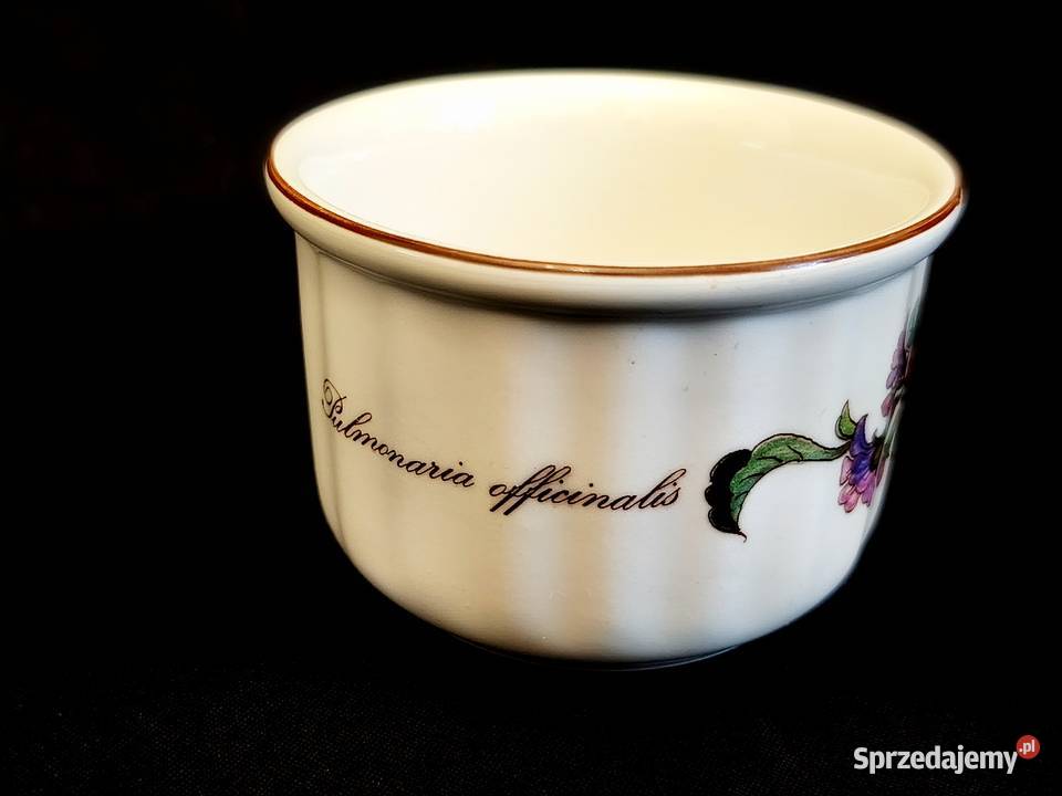 Pojemnik do zapiekania Villeroy Boch Botanica lubelskie Chełm