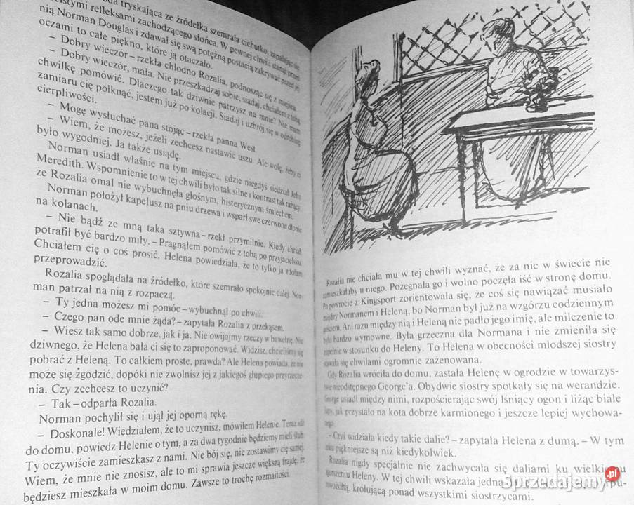 Dolina Tęczy Lucy Maud Montgomery Rok wydania 1989 Chełm sprzedam